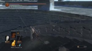 DARK SOULS 3 Ковенант Клинки Темной Луны,Капитан отряда Йоршка(Dark moon covenant)