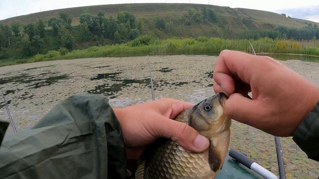 Сразу ТАКОГО и не ПОДНЯТЬ ! Рыбалка на удочку в траве . смотреть онлайн