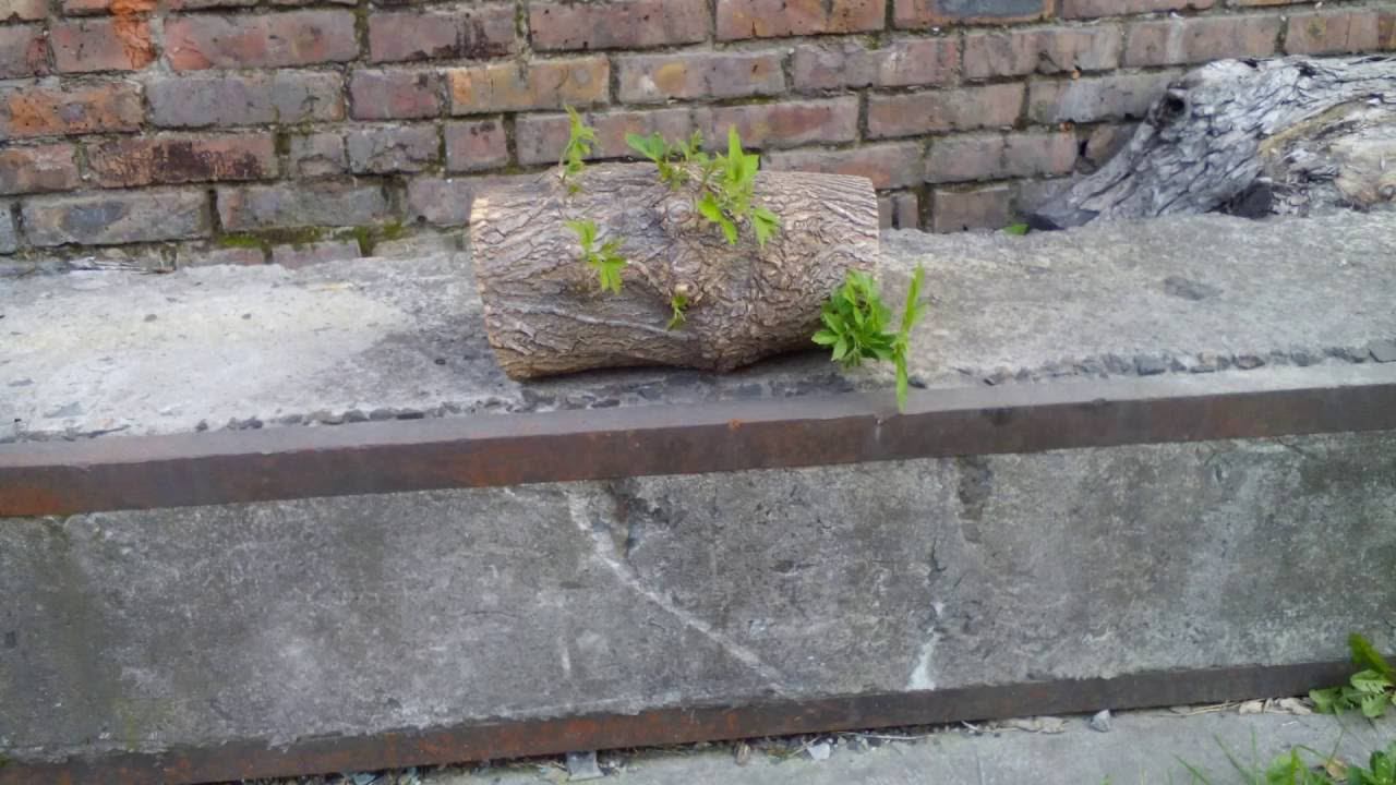 Тяга к жизни смотреть онлайн