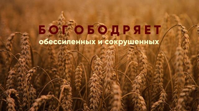 Три способа, которыми Бог ободряет обессиленных и сокрушенных