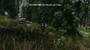 SKYRIM ENB SE 5 1+Деревья