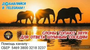 Ответ шумным соседям. Слоны топают