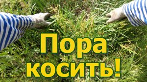 Очередной, весёлый, покос травы! Самоходная газонокосилка Stiga Combi 53 SQ сила! Триммер не нужен!