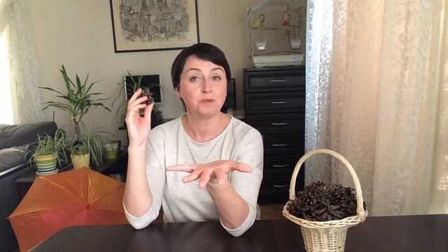 Ирина Круглова, музыкальный руководитель Школы № 1384. Игры с шишками смотреть онлайн