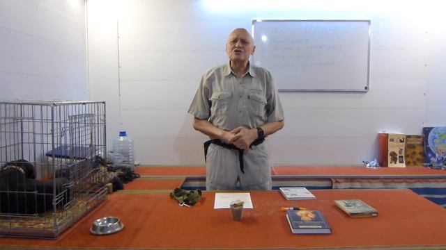 Лекции по дрессировке собак. Выпуск 2 смотреть онлайн