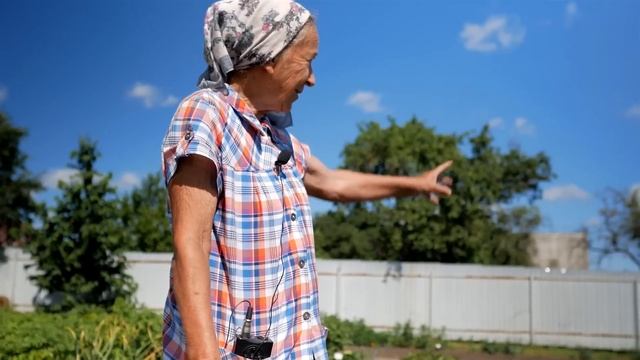 Подкормка ремонтантной земляники. Как ухаживать за ремонтантной земляникой.