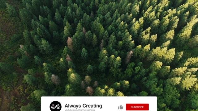 How to Create a SMOOTH ZOOM In/Out Transition - Adobe Premiere Pro CC Tutorial