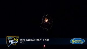 Р7027 Кто здесь? 0,7" х 48 залпов