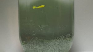 Оснастка для ловли окуня зимой со льда на силикон. Дроп шот и не только.