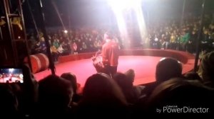 Медведь в Цирке Шапито Аншлаг. Много трюков. Всем смотреть!