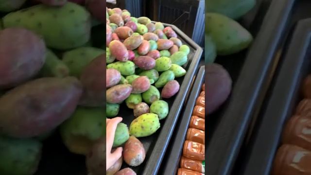 Выбираю плоды кактуса в мексиканском.Кактус опунция .