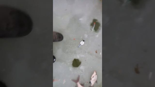 Яуза. Первый лед 2018 смотреть онлайн