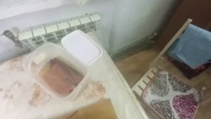 Рыба Кижуч соленая. Как засолить красную рыбу.