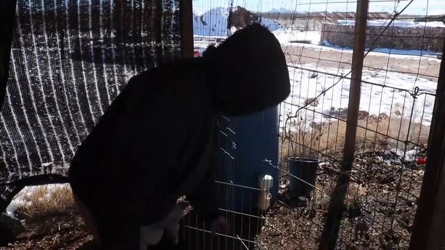 We Were DEVASTATED! Snowstorm Causes Destruction and Derails Our Earthbag House Build смотреть онлайн