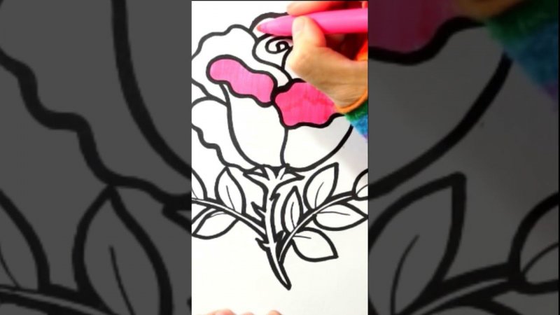 How to draw a rose #draw #picture #drawpicture #drawing