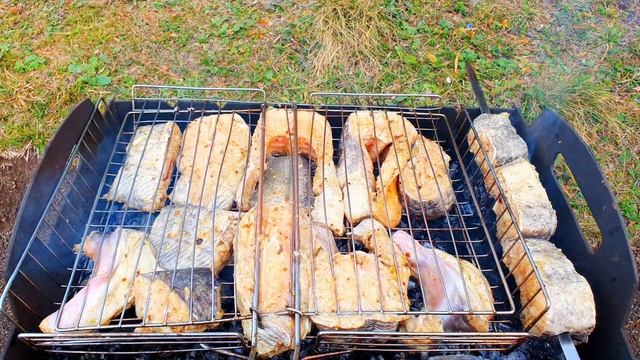 ЖАРИМ ШАШЛЫК ИЗ СОМА НА ПРИРОДЕ В ЛЕСУ