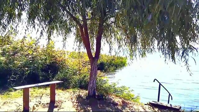 Ненси - Тихо плакала ива