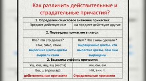 Действительные и страдательные причастия. Русский язык. 7 класс.
