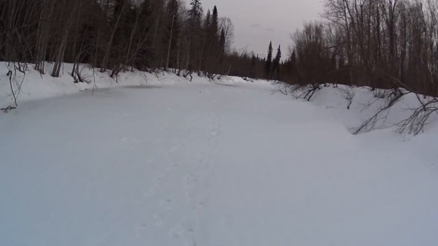 КАЖДЫЙ из НАС поймал по ТРОФЕЮ!!! / РЫБАЛКА на ХАРИУСА смотреть онлайн