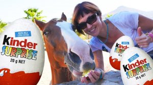 Конный клуб в Бодруме - Как провести выходные - Куда сходить