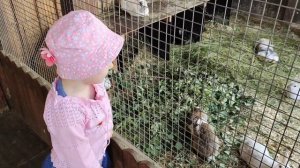 Ярославский зоопарк. Ярославль август 2023. день 3