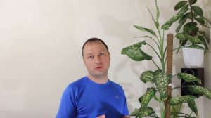 Здоровые и красивые ноги