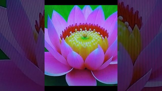 Истинное и мнимое воплощение людей! Помощь высших сил в жизнедеятельности людей!#любовь #счастье