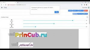 Видео инструкция для принтера Kongten mBrush (PrinCube)