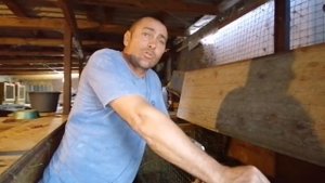 ПРОДАЮ КРОЛИКОВ И ЧТО БУДУ ДЕЛАТЬ ДАЛЬШЕ!