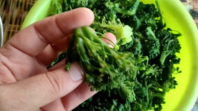 Брокколи по-корейски. Полезно, вкусно, ароматно! Любим все острое. Капуста на закуску. #ПоварОтБога