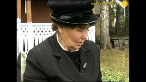 Компостная траншея для  моркови. Улучшение земли простым способом.