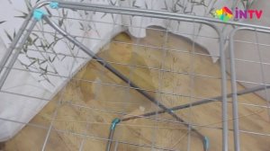 Обзор сушилки для белья Ника СБ2 20м