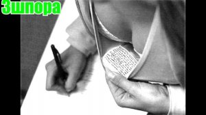 ТОП 5 лучших нычек для шпоры