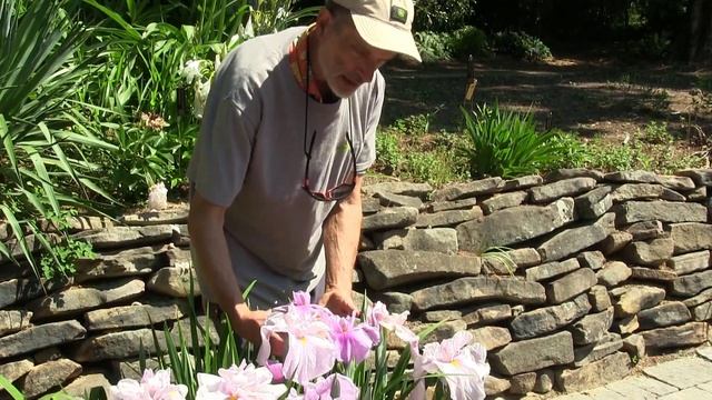 Gardening Unplugged - Spring Blooming Plants with Doug Ruhren (Part 2 - Irises and Kalmia) смотреть онлайн
