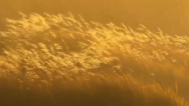 Julio Iglesias Vete Ya смотреть онлайн