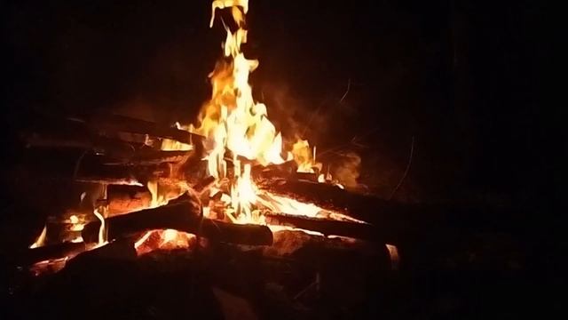 О таких находках многие только мечтают. Коп на нетронутом поле. Коп в Орловской области.