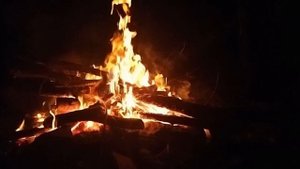 О таких находках многие только мечтают. Коп на нетронутом поле. Коп в Орловской области.