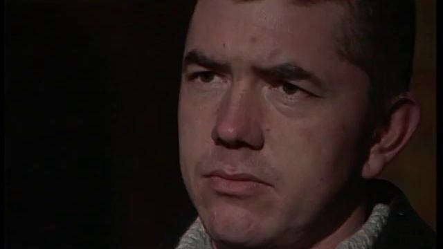 Сладкая горечь полыни. Часть 2 смотреть онлайн