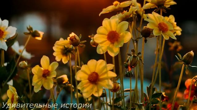 Домработница застыла на месте, увидев перед собой мужа в чужой квартире с растерянным видом... смотреть онлайн