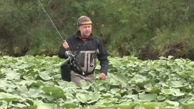 Анатолий Полотно и Федя Карманов - Счастья Вам!