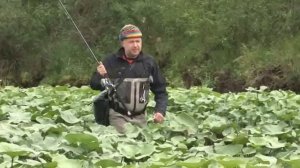 Анатолий Полотно и Федя Карманов - Счастья Вам!