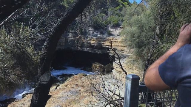 Тасмания: вокруг острова за 7 дней смотреть онлайн