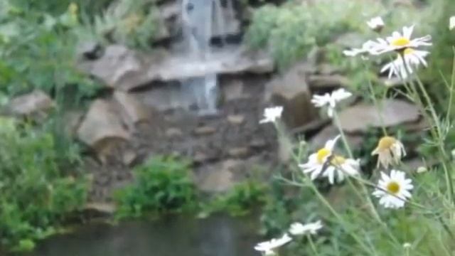 Пруд декоративный с водопадом во дворе своими руками смотреть онлайн