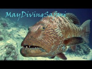 Уходим от шторма. Первый день.  Апрельское сафари, 2015