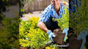 Шота Багаев  Даеуыйас никаей уарзын