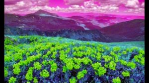 Как цветок в степи безлесной