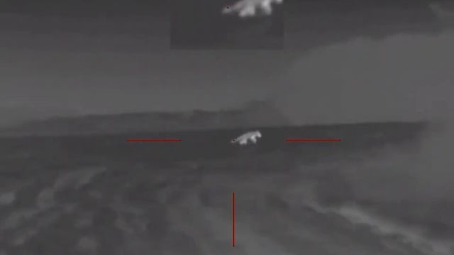 Хитрая лисица с облезлым хвостом, после выстрела пробежала 50 метров и умерла. Санитарный отстрел. смотреть онлайн