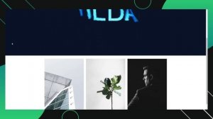 Тильда. Анимация текста в Tilda Publishing