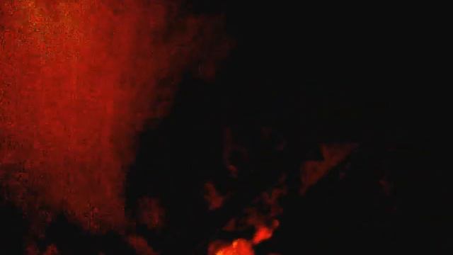 Шпиц,Смех, играет с резиновой уткой, смотреть онлайн