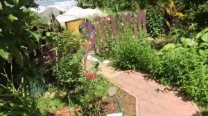 Дача / дачная жизнь / дачные дела